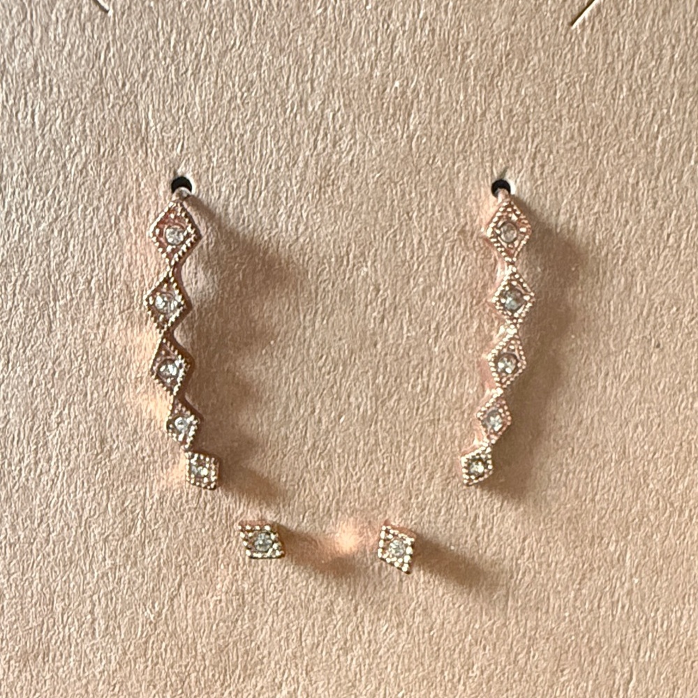 Zigzag Earrings set